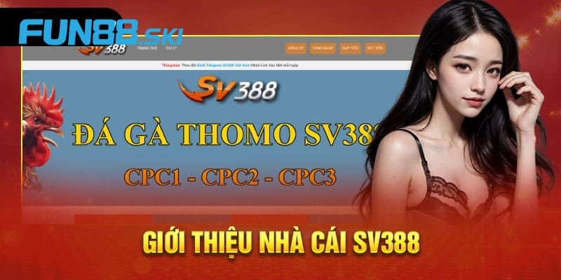 Sv388 - nhà cái đá gà hàng đầu